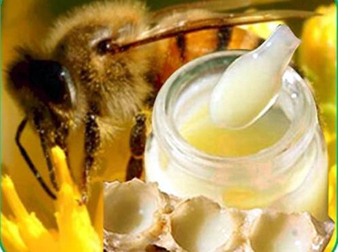 Cách làm đẹp da từ sữa ong chúa thật đơn giản