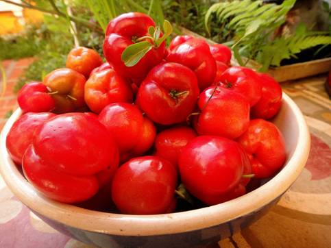 13 lợi ích sức khỏe từ trái sơ-ri