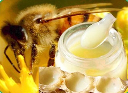 Sữa ong chúa có công dụng gì?