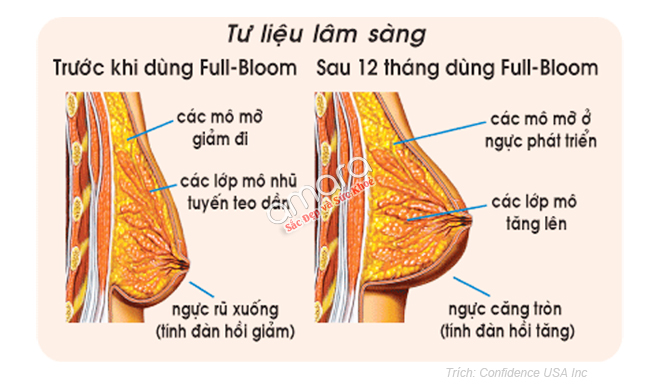vien-uong-full-bloom-giup-bo-nguc-cang-no-nang-day-dan-5